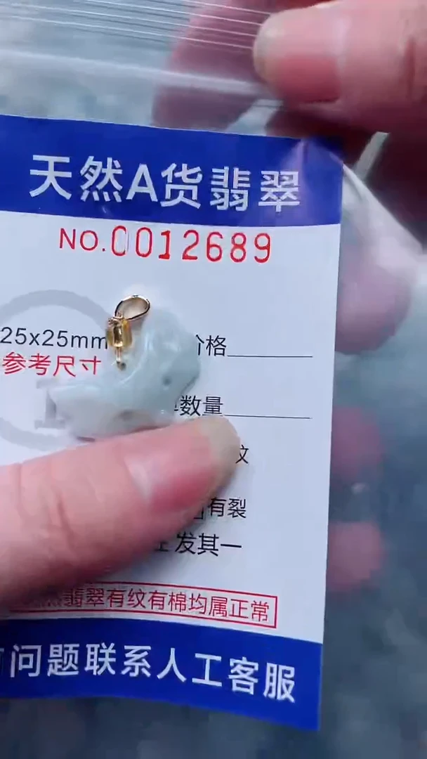 翡翠未镶嵌吊坠(不含链)1