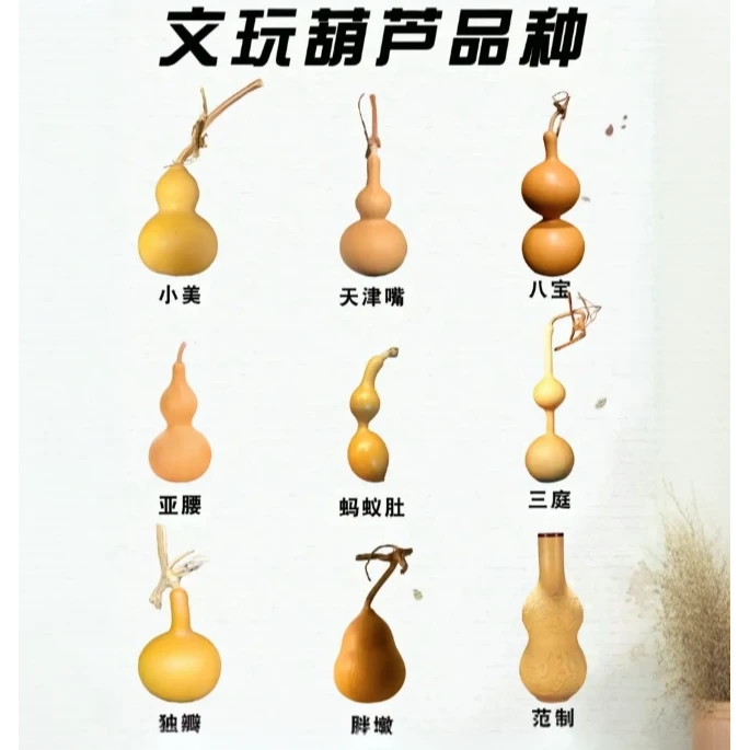 天然小葫芦手把件文玩带龙头可盘玩传统开口大小自然（多样性发货）