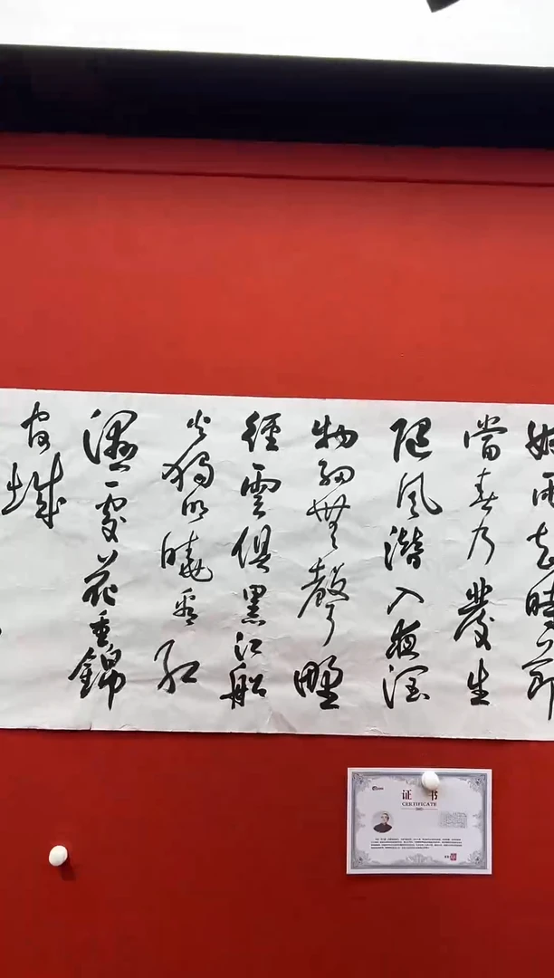 书法复星书画精选作品