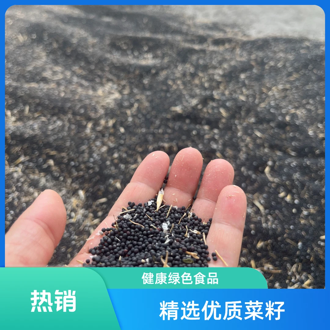 精选油菜籽