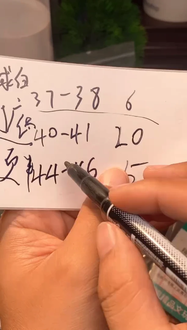 把件文玩核桃球白文玩核桃⬛️37-38