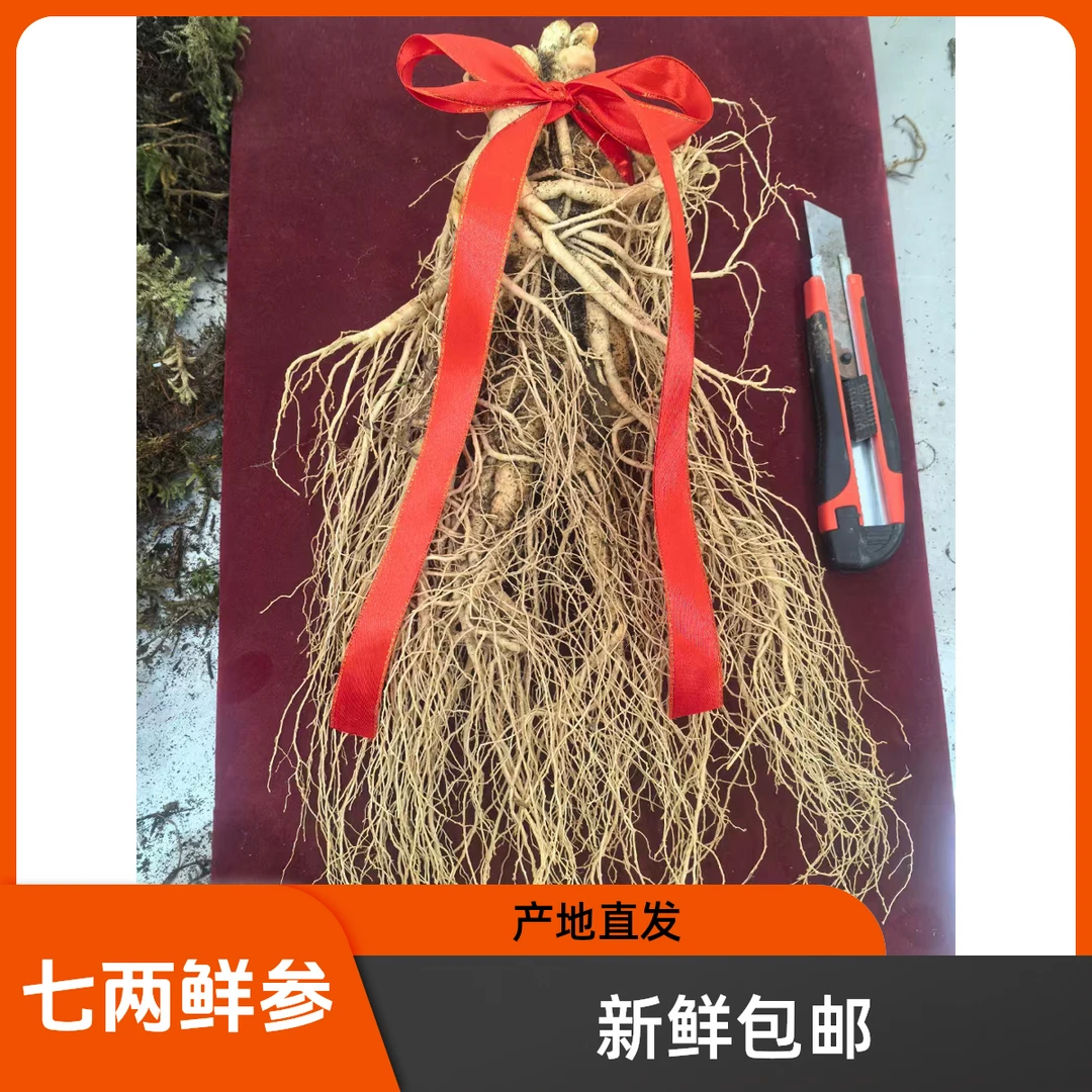 长白山鲜人参  单支350克鲜参 泡酒 送人佳品！产地直发，顺丰空运！