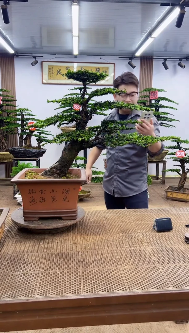 无花朵一物一拍，所见即所得
