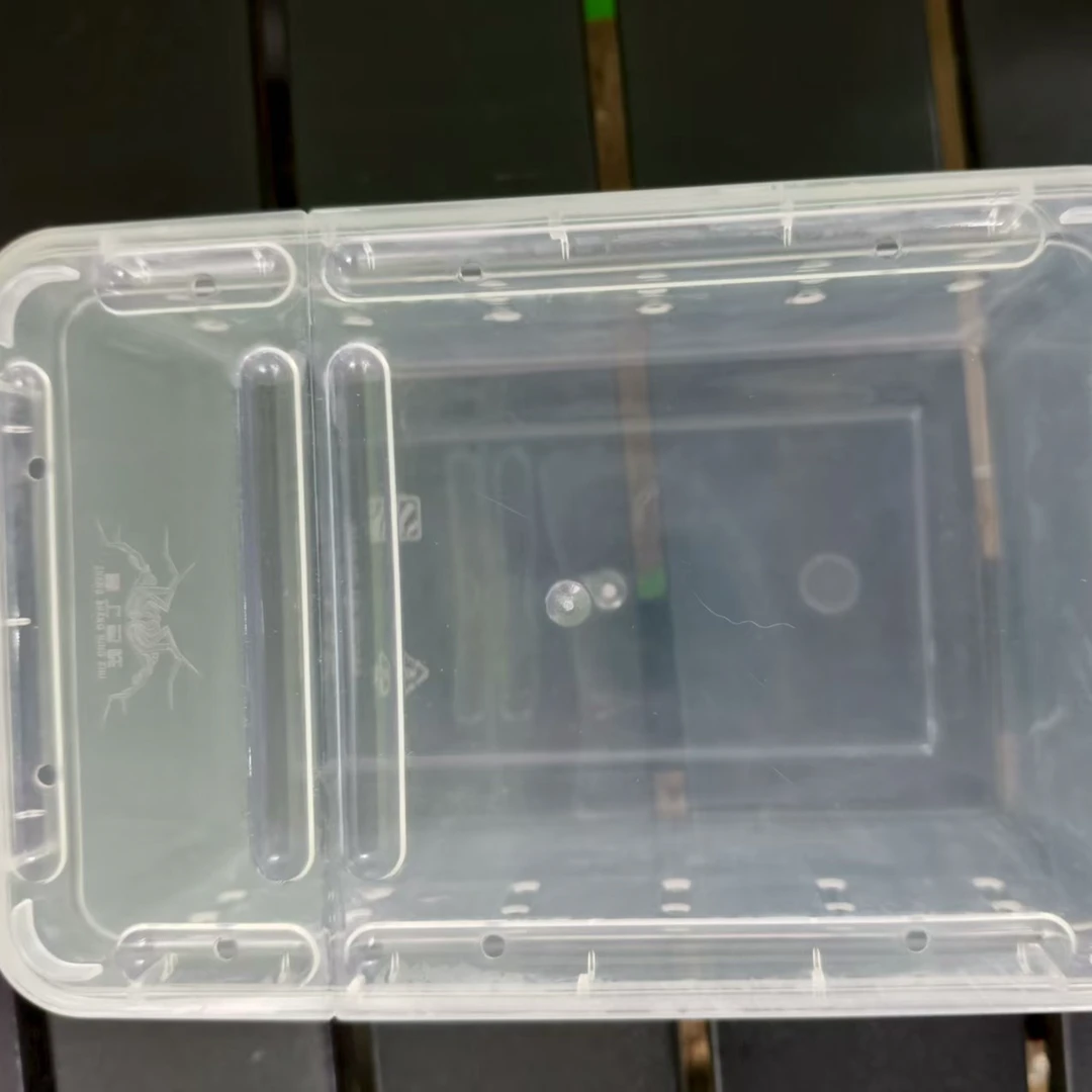 爬宠饲养盒适用于蜘蛛角蛙蜗牛守宫乌龟寄居蟹等
