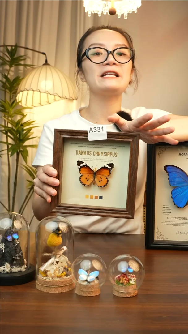 金斑蝶-（6寸方胡桃色新款框）A331