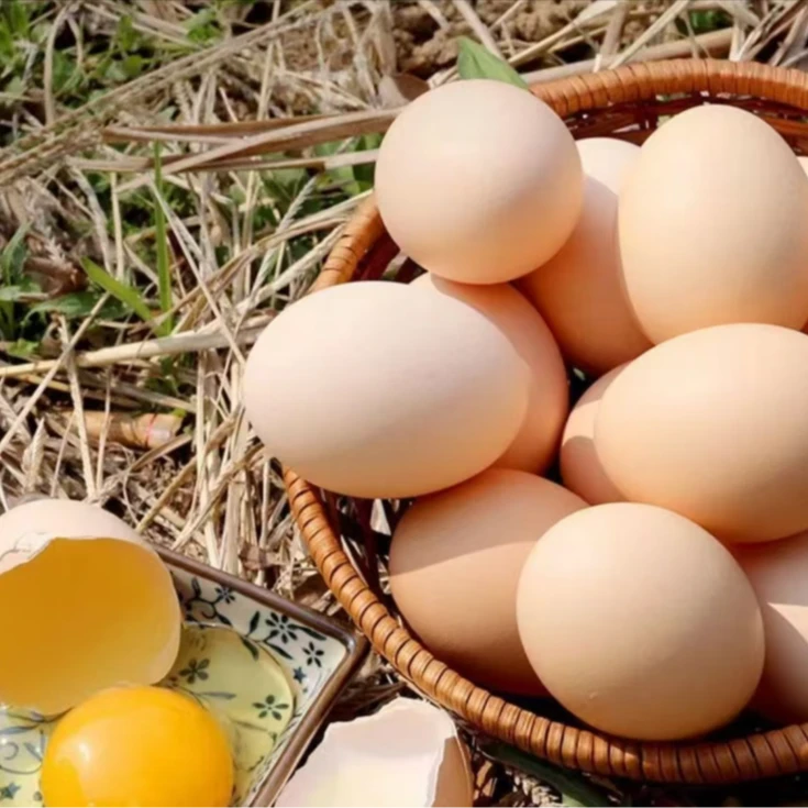 皖南农家散养土鸡蛋