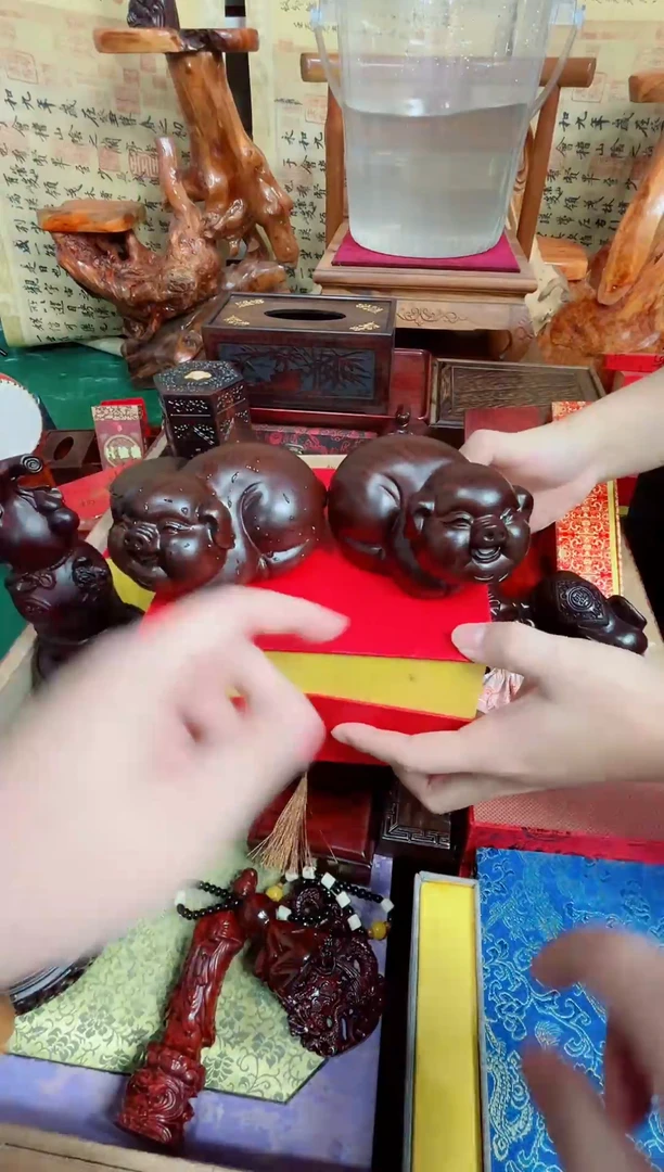 木对猪直播推荐直播推荐