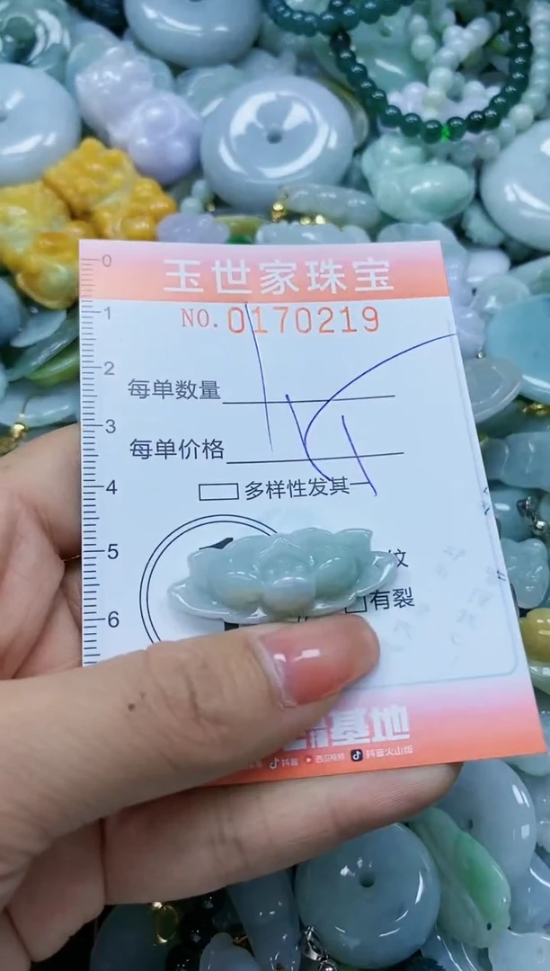【闪购商品】翡翠颈饰未镶嵌闪购0170219