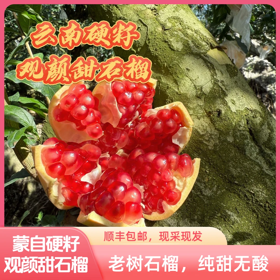云南红河硬籽观颜甜石榴纯甜【顺丰包邮】正宗蒙自吐籽