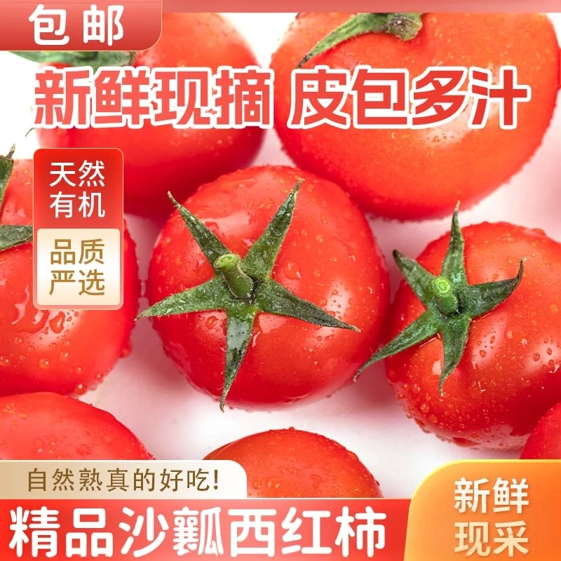 内蒙古农家自种纯自然成熟沙瓤西红柿