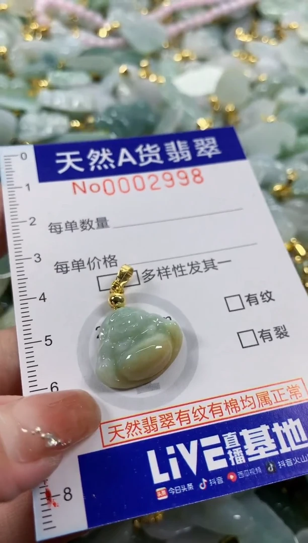 颈饰未镶嵌翡翠天然A货翡翠