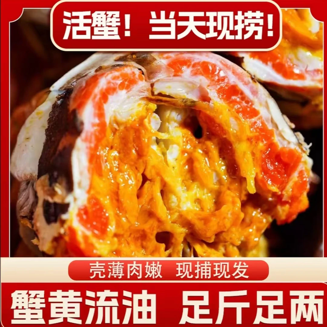 【活蟹】江苏HG大闸蟹纯公5.0-4.7两买8送2共10只当天冷链发货