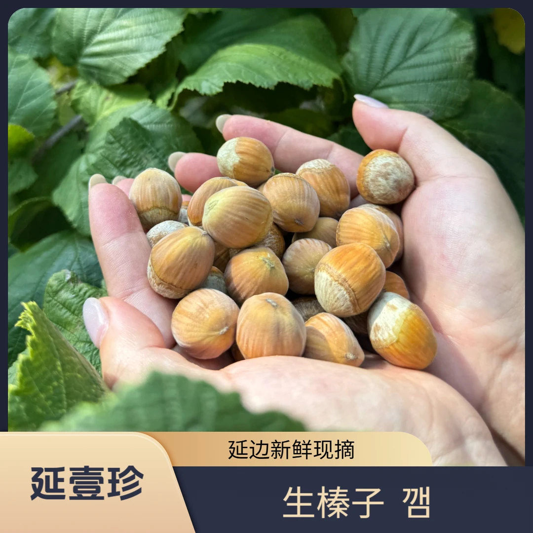 【脱皮生榛子】延边25年新鲜现摘大榛子绿皮东北坚果手剥原味包邮