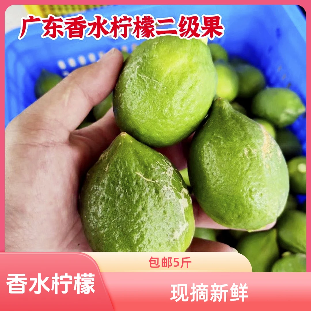 广东香水柠檬二级果花皮奶茶店专用手打柠檬茶新鲜现摘5斤包邮