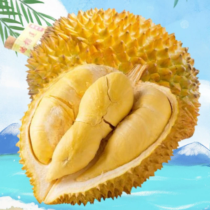 新鲜金枕榴莲4-9斤核小金枕泰国