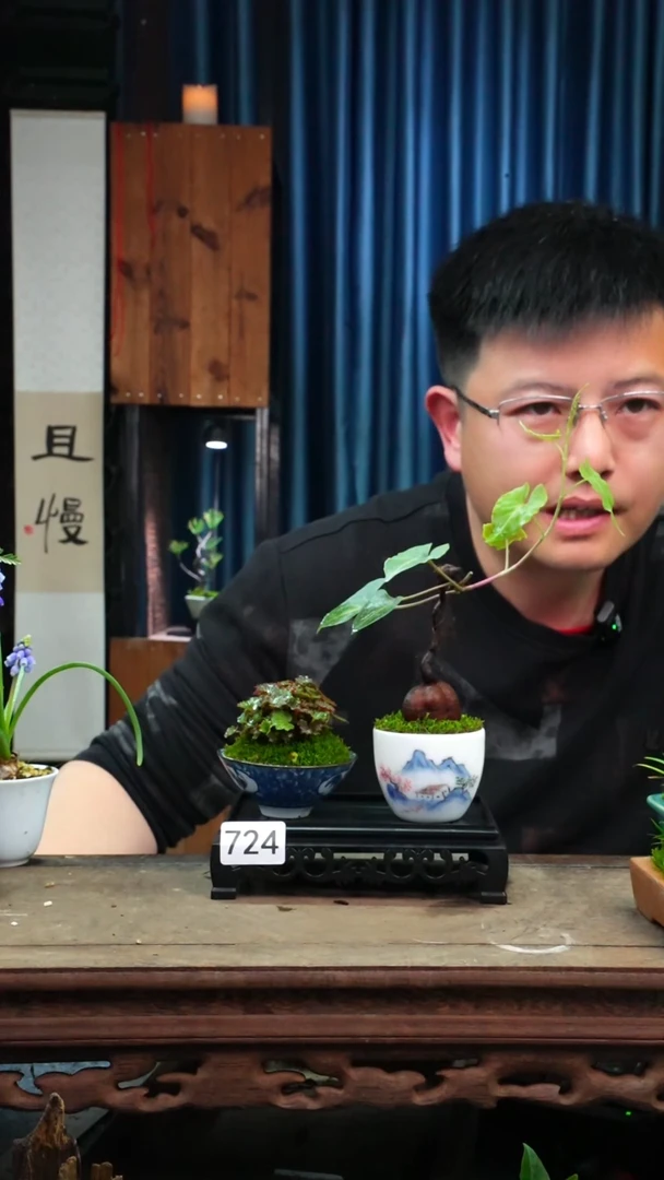 【闪购商品】苔藓微景观724号