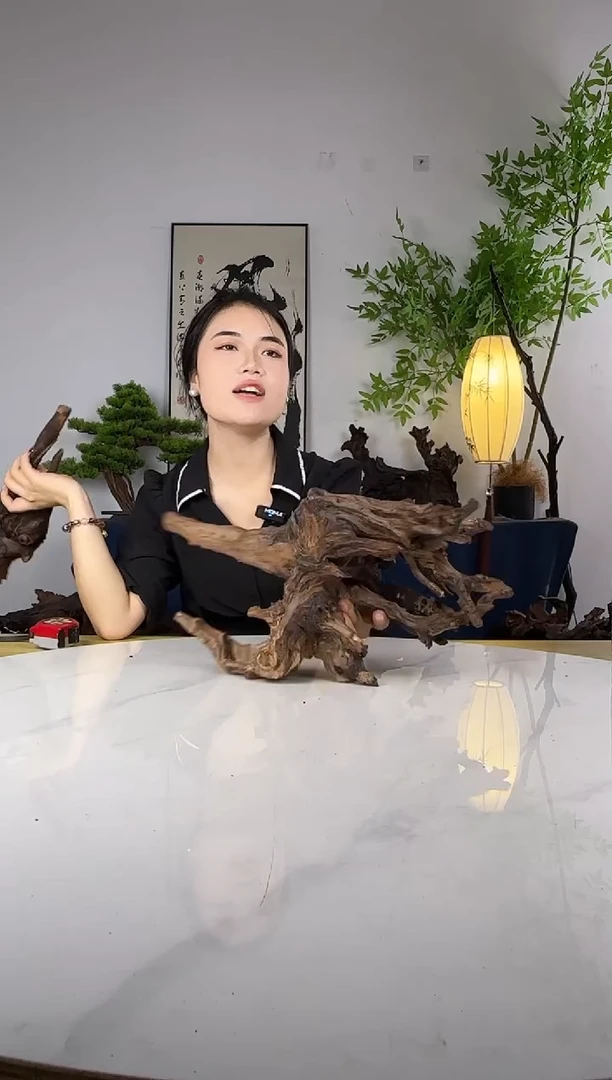 星***腿拍这个定向编号18
