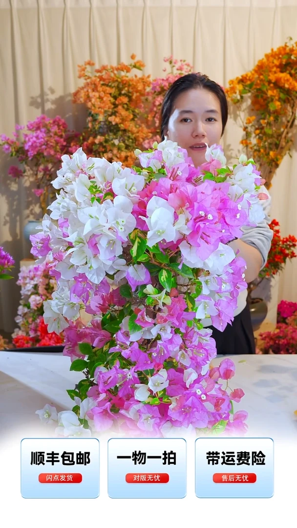 大部分开放少量花苞金心橙白