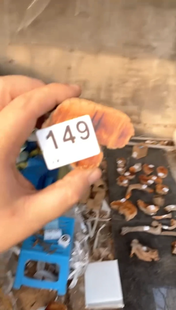 【闪购商品】柏木太行陈化崖柏（津诚林）切片随机一片