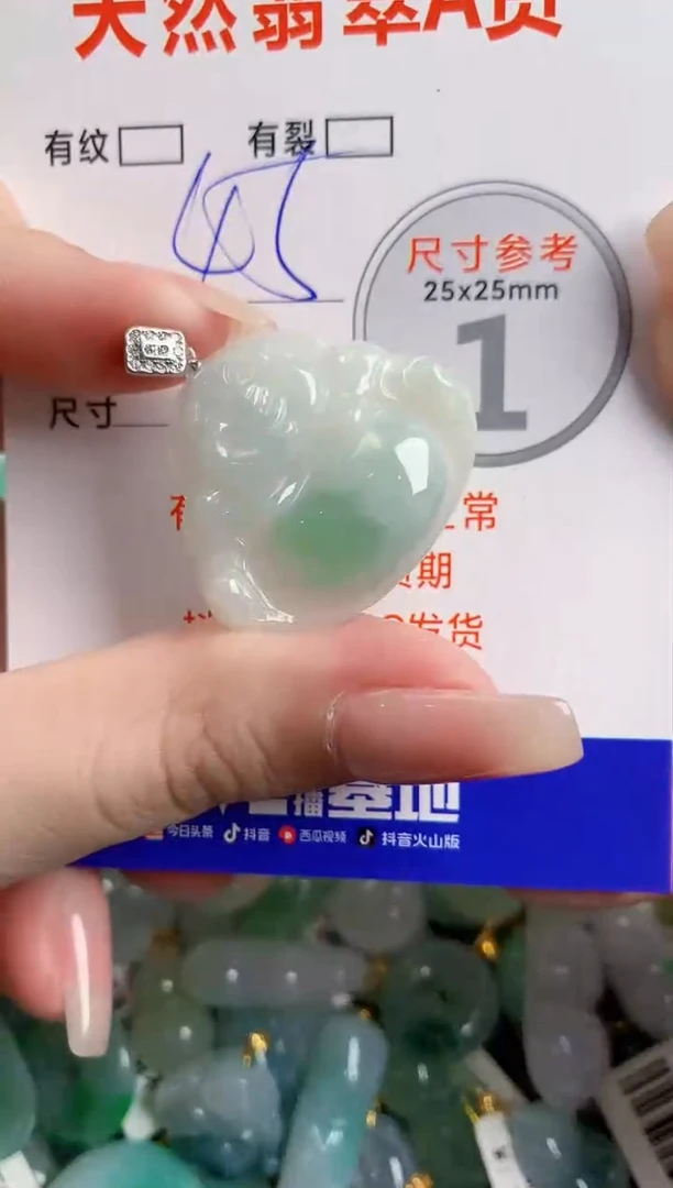 翡翠未镶嵌颈饰24001013