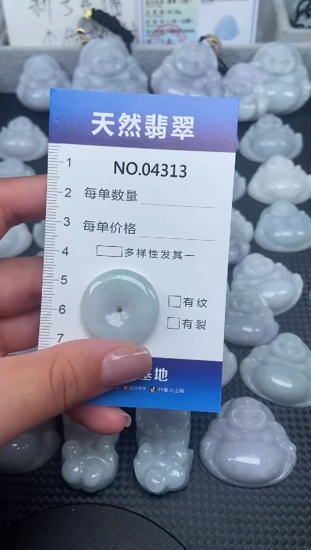 颈饰未镶嵌翡翠纯天然A货翡翠4313
