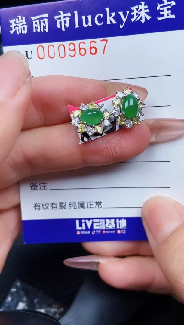 翡翠银S925镶嵌颈饰9667