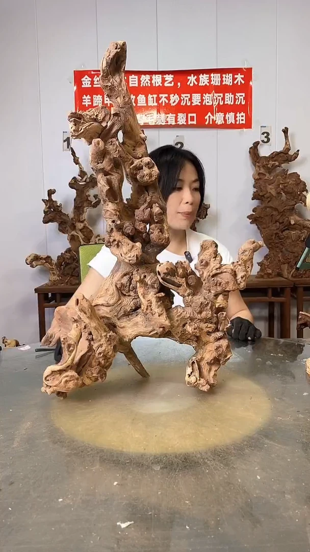 香榧木金丝红木 羊蹄甲