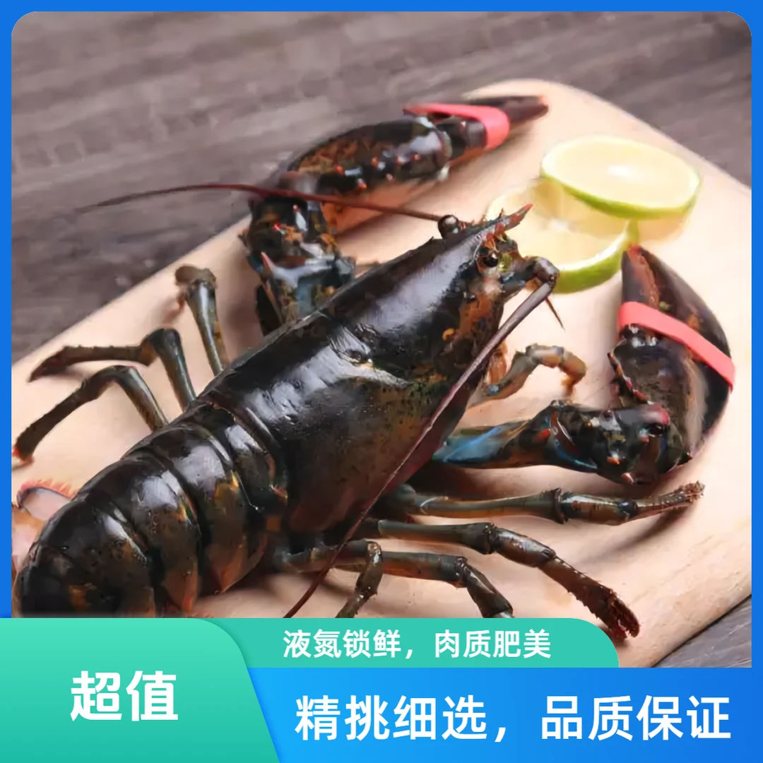 【液氮鲜冻】波士顿龙虾（400-600g/只）3只+带鱼2包/顺丰冷链到家