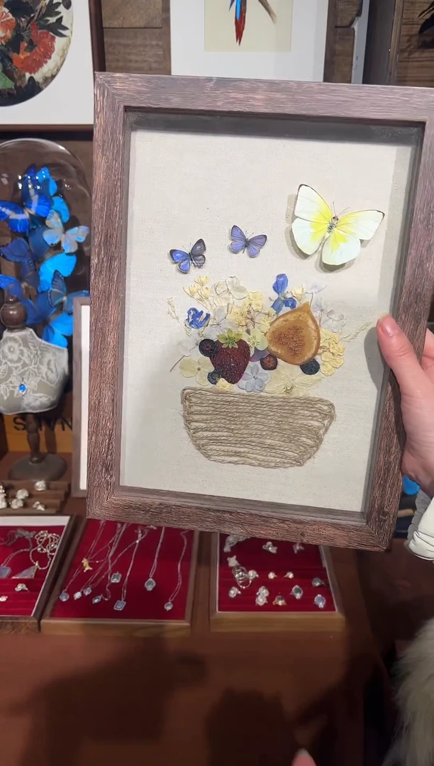 玻璃625标本相框