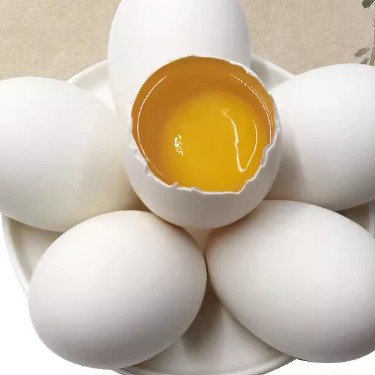 【陈书记推荐】农家自养大鹅蛋