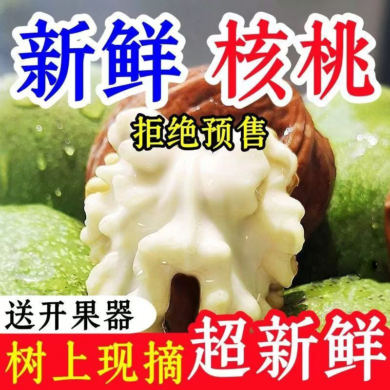 2025年四川凉山新鲜湿核桃孕妇小孩必备应季零食带青皮核桃W