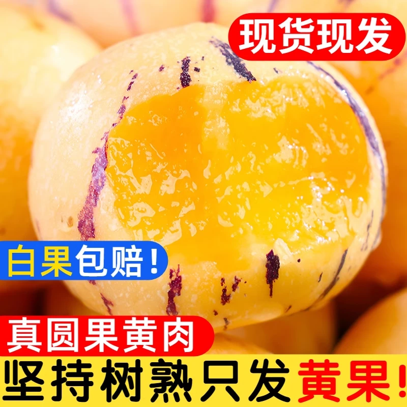 云南石林人参果爆甜多汁新鲜采摘现摘现发