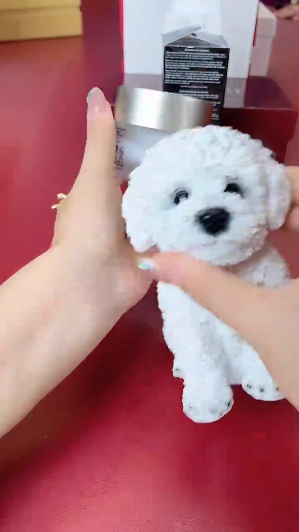 瓷片别算了真划算@@XQ2596