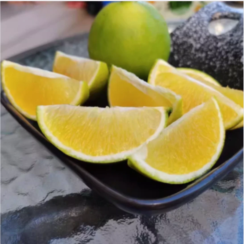 云南哀牢山青皮冰糖橙新鲜应季水果现摘现发皮薄多汁清甜