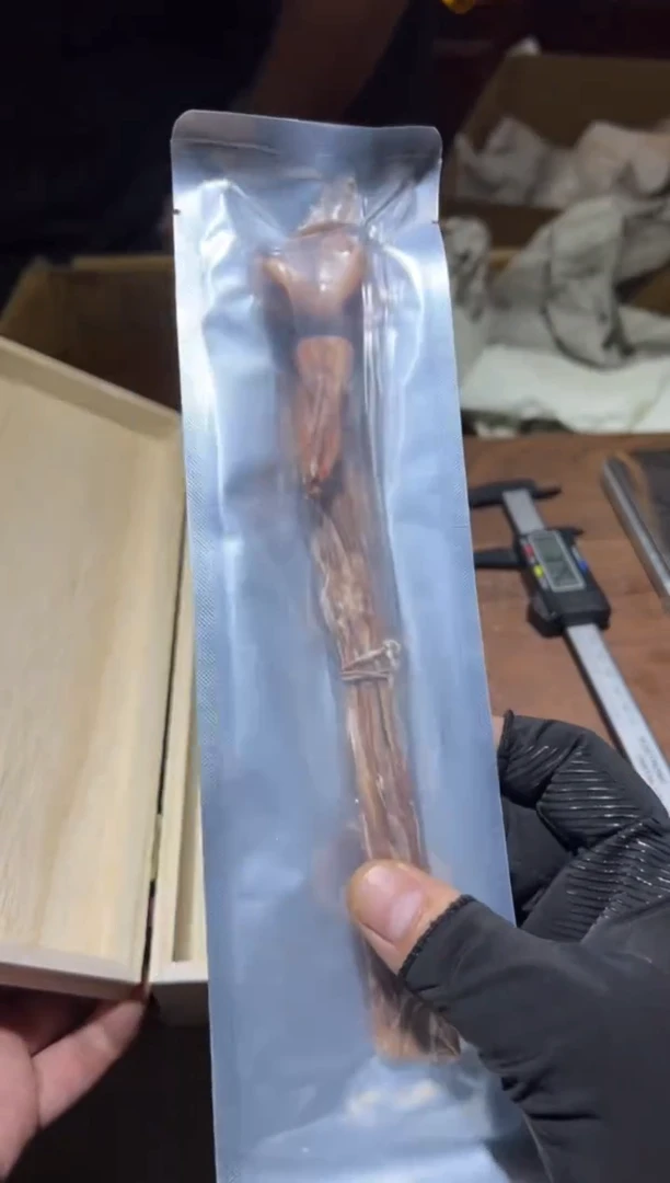 瓷片工艺赏玩器物多样性发一个（卡单拉黑）