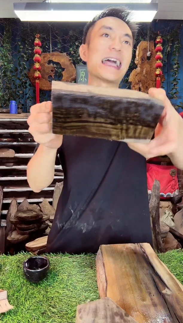 金丝楠小叶祯楠502