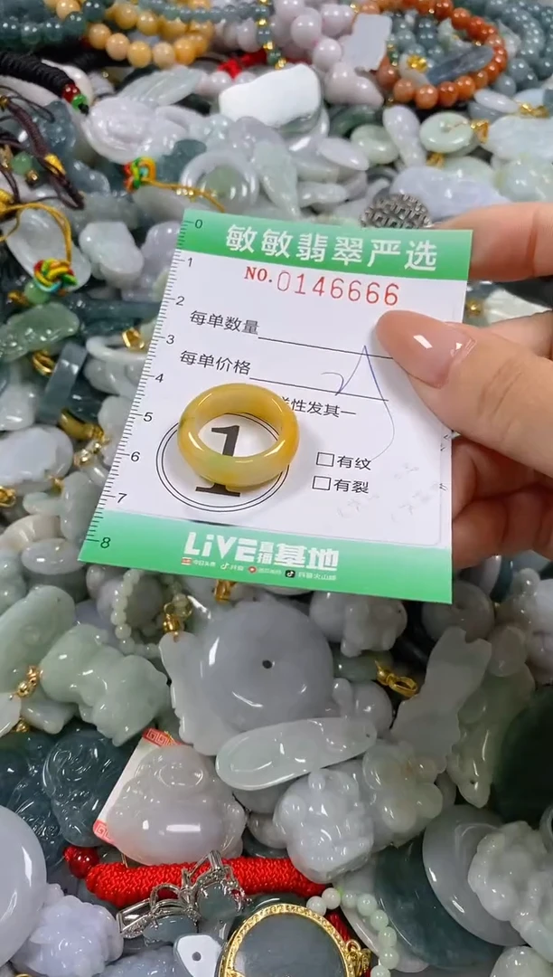 翡翠未镶嵌颈饰闪购0146666