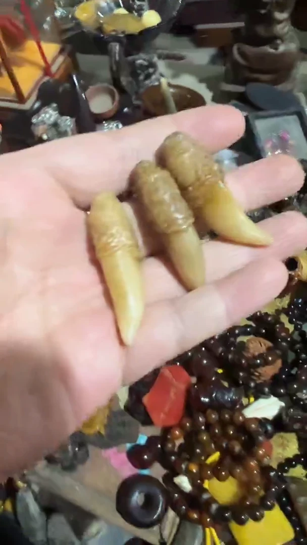 紫砂紫砂紫砂紫砂紫砂紫砂