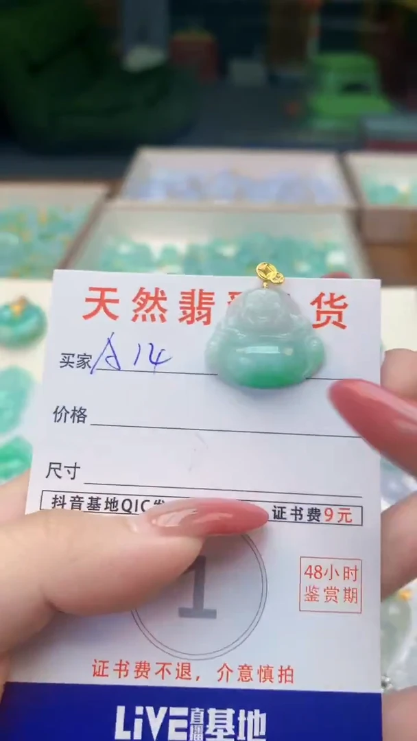颈饰未镶嵌翡翠天然A货翡翠挂件