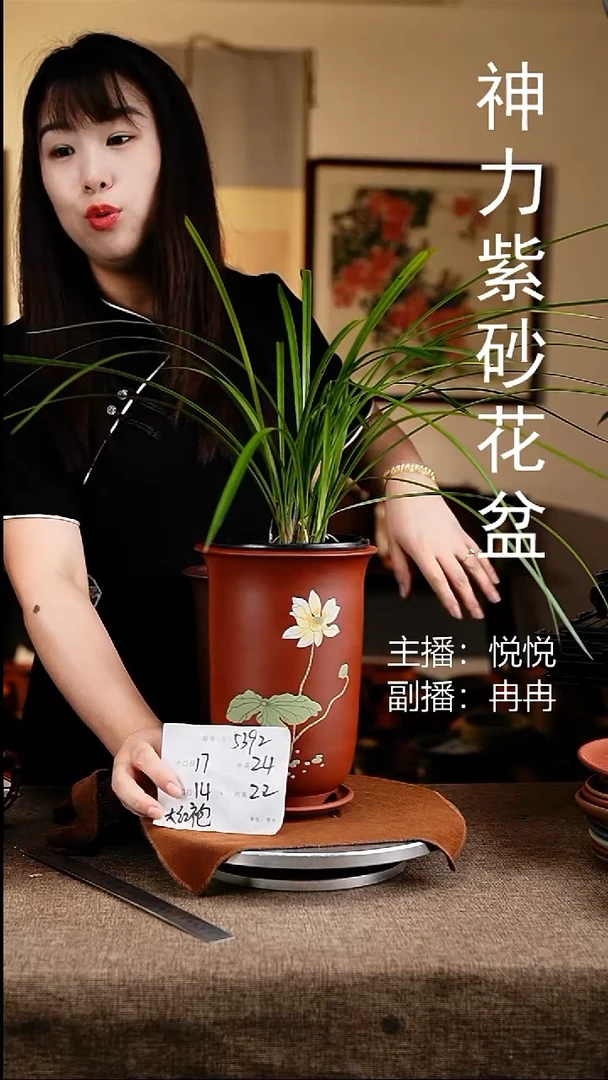 紫砂花盆花卉工艺5392+z