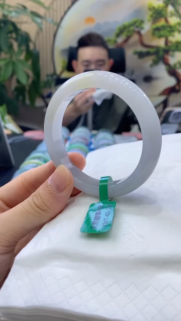 未镶嵌手镯翡翠48203