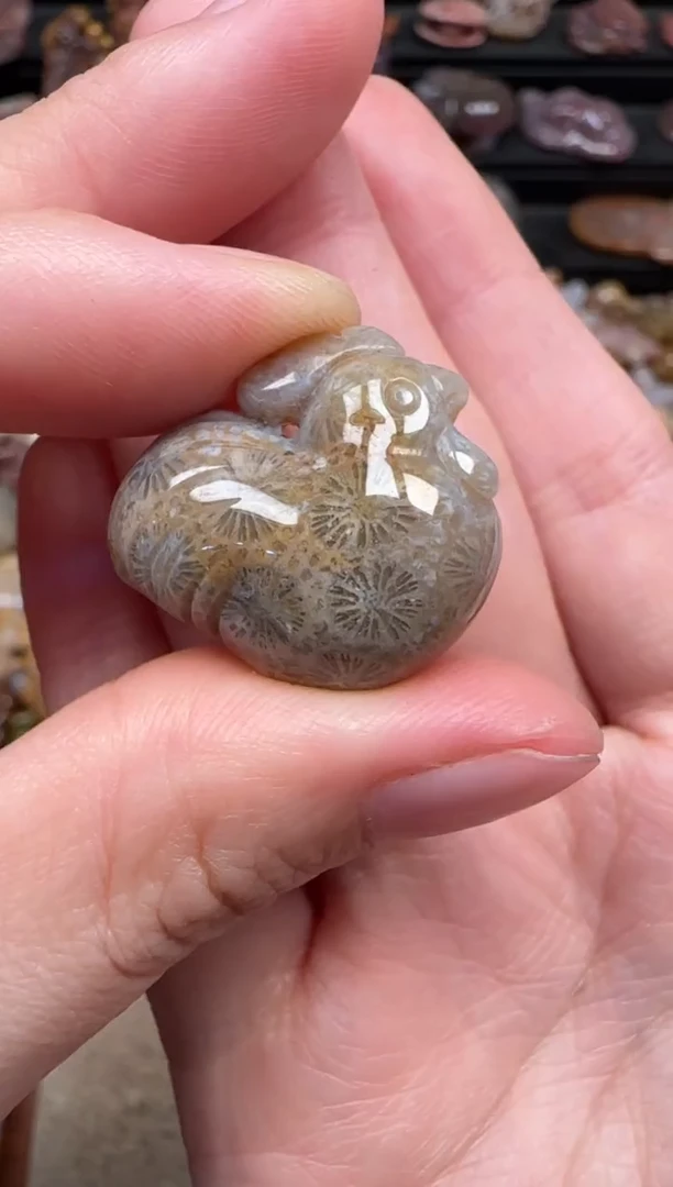 颈饰未镶嵌硅化珊瑚（珊瑚玉）666