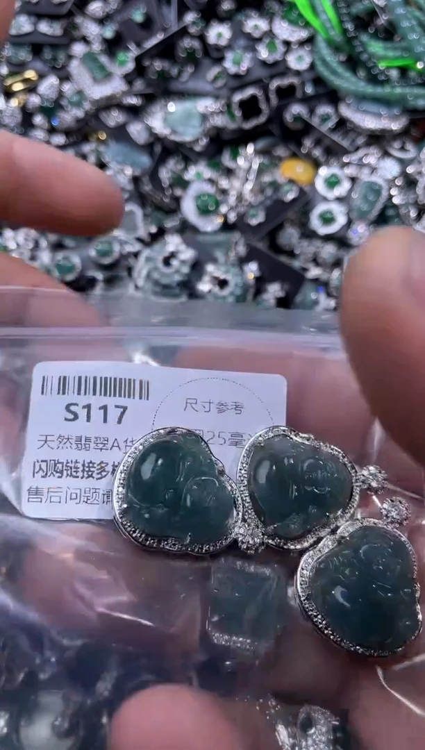 【闪购商品】翡翠颈饰未镶嵌S117多样性发其一