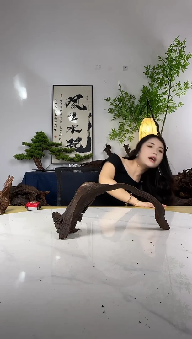 王*彪拍这个定向编号7