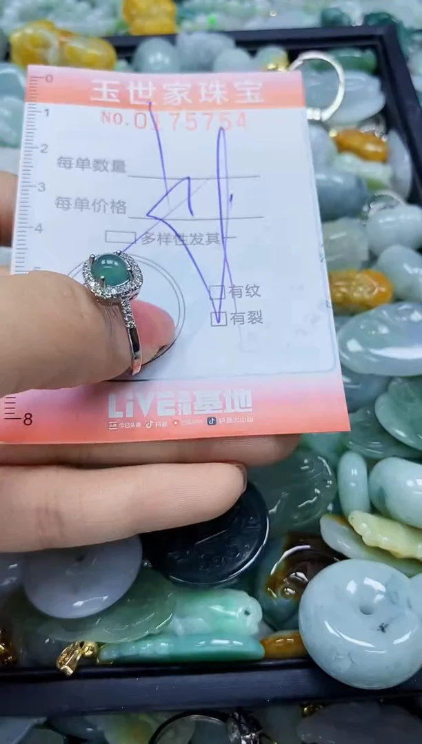 【闪购商品】翡翠颈饰未镶嵌闪购商品00175754多样性发其一