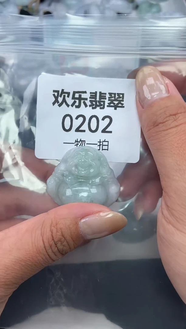 颈饰未镶嵌翡翠缅甸天然翡翠0202