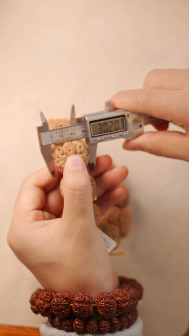 【闪购商品】金刚菩提手串29/30mm超顶