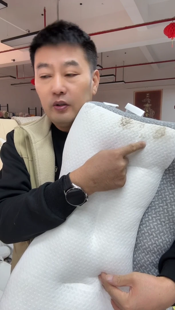 真丝真丝08 枕芯