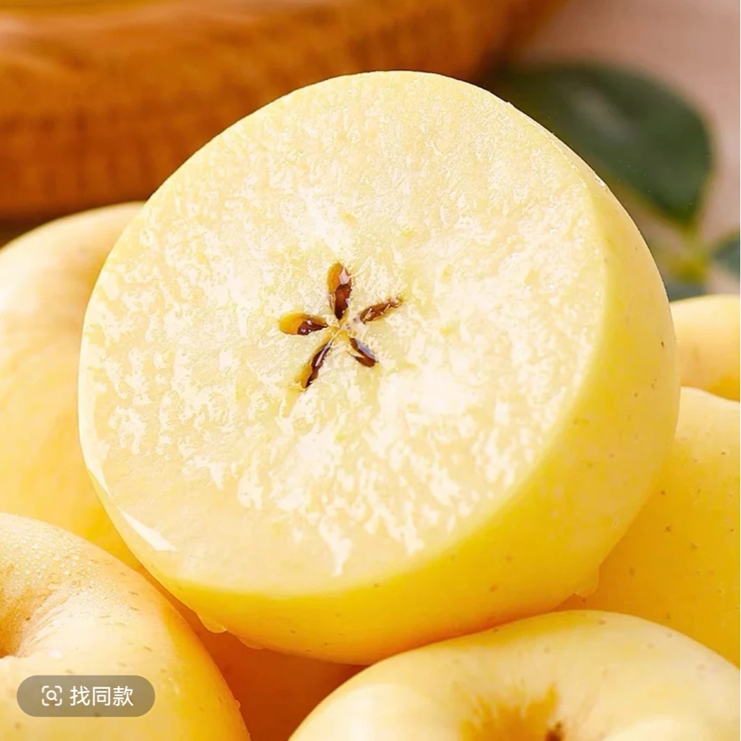 [顺丰京东包邮]2025新果山东烟台维纳斯黄金苹果现摘现发新鲜脆甜