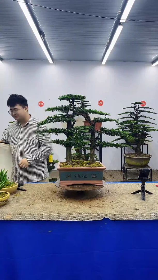 完全开放一物一拍，所见即所得